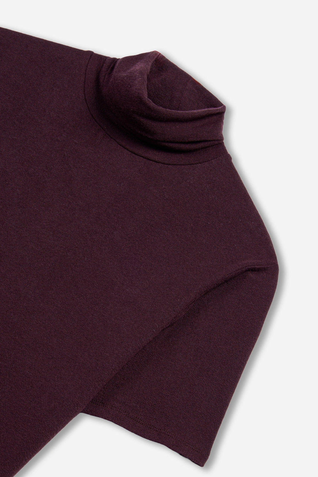 Short Sleeve Turtleneck Top