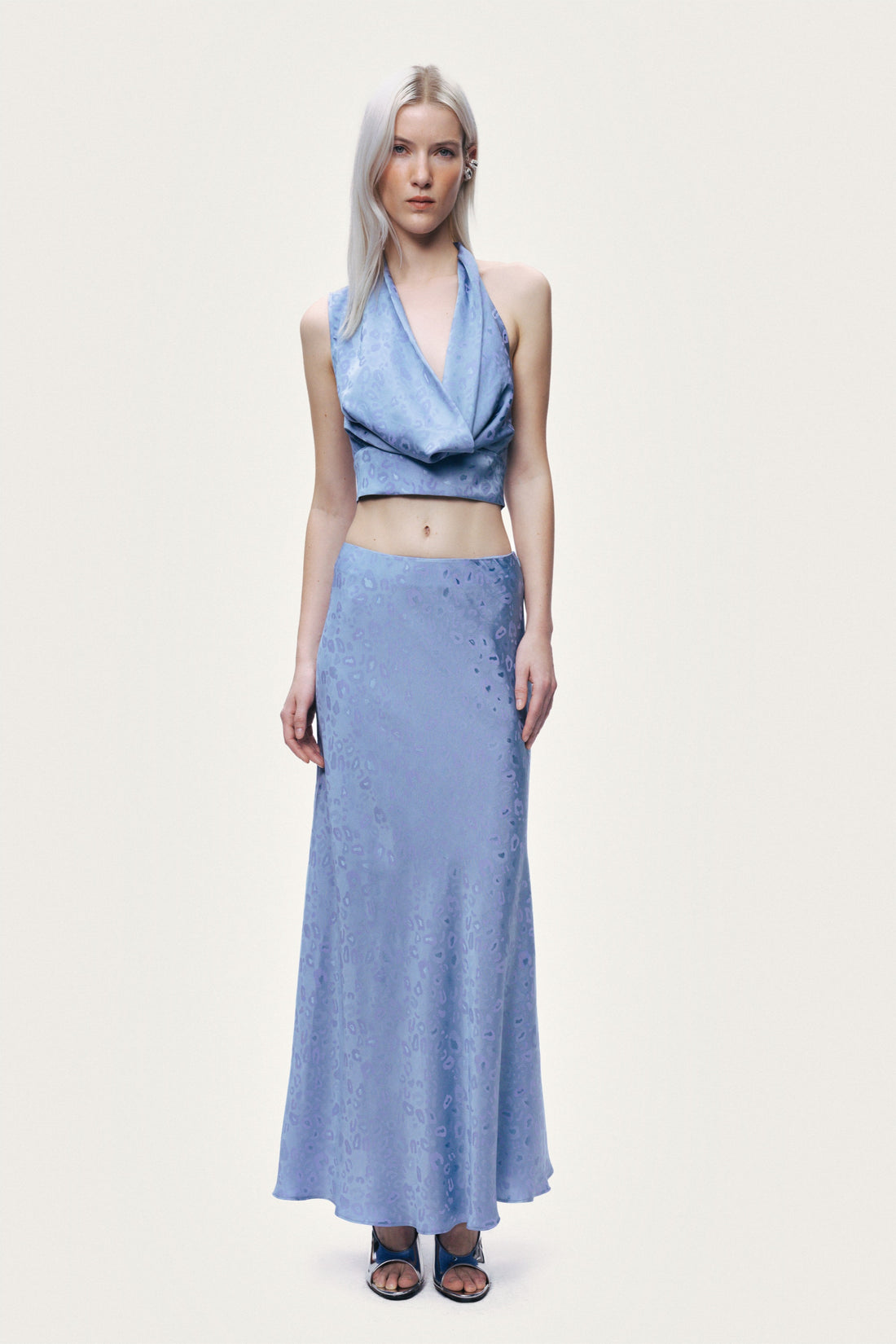 Printed Midi Flare Skirt
