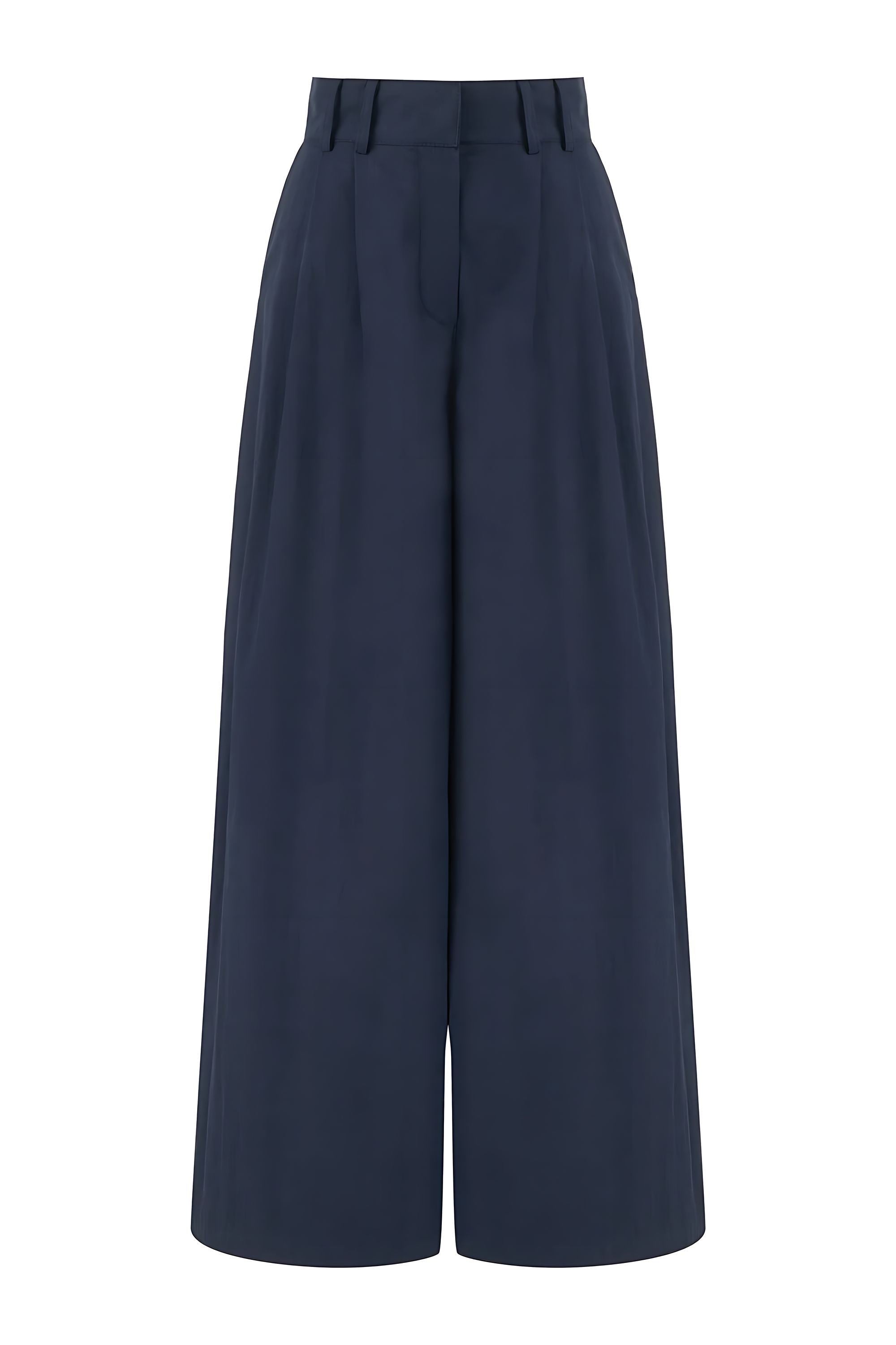 Pleated Wide Leg Pants (Final Sale)