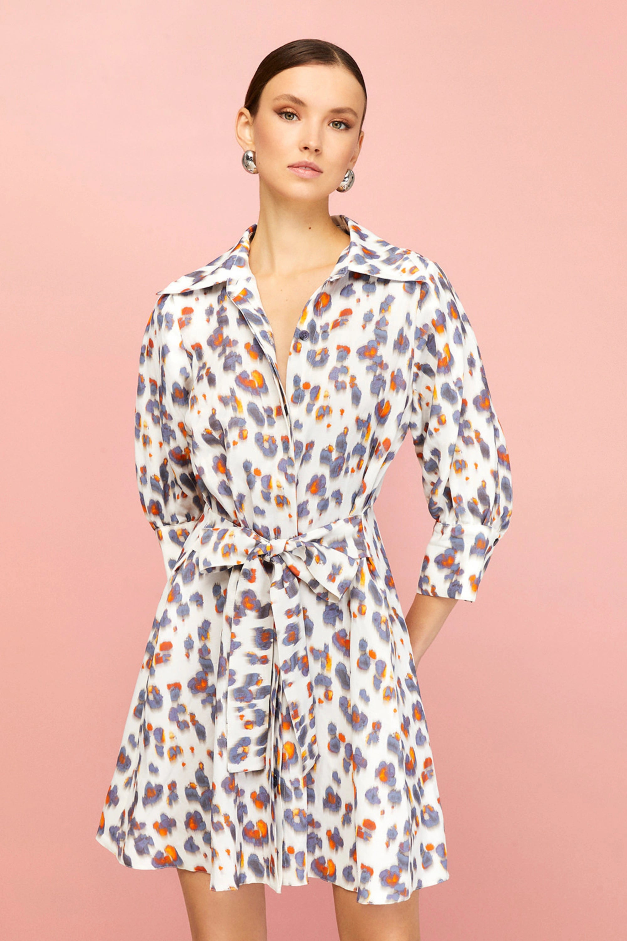 Leopard Print Belted Dress