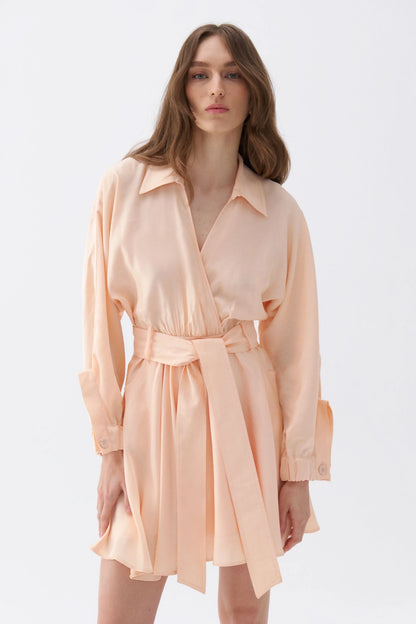 Belted Shirt Dress