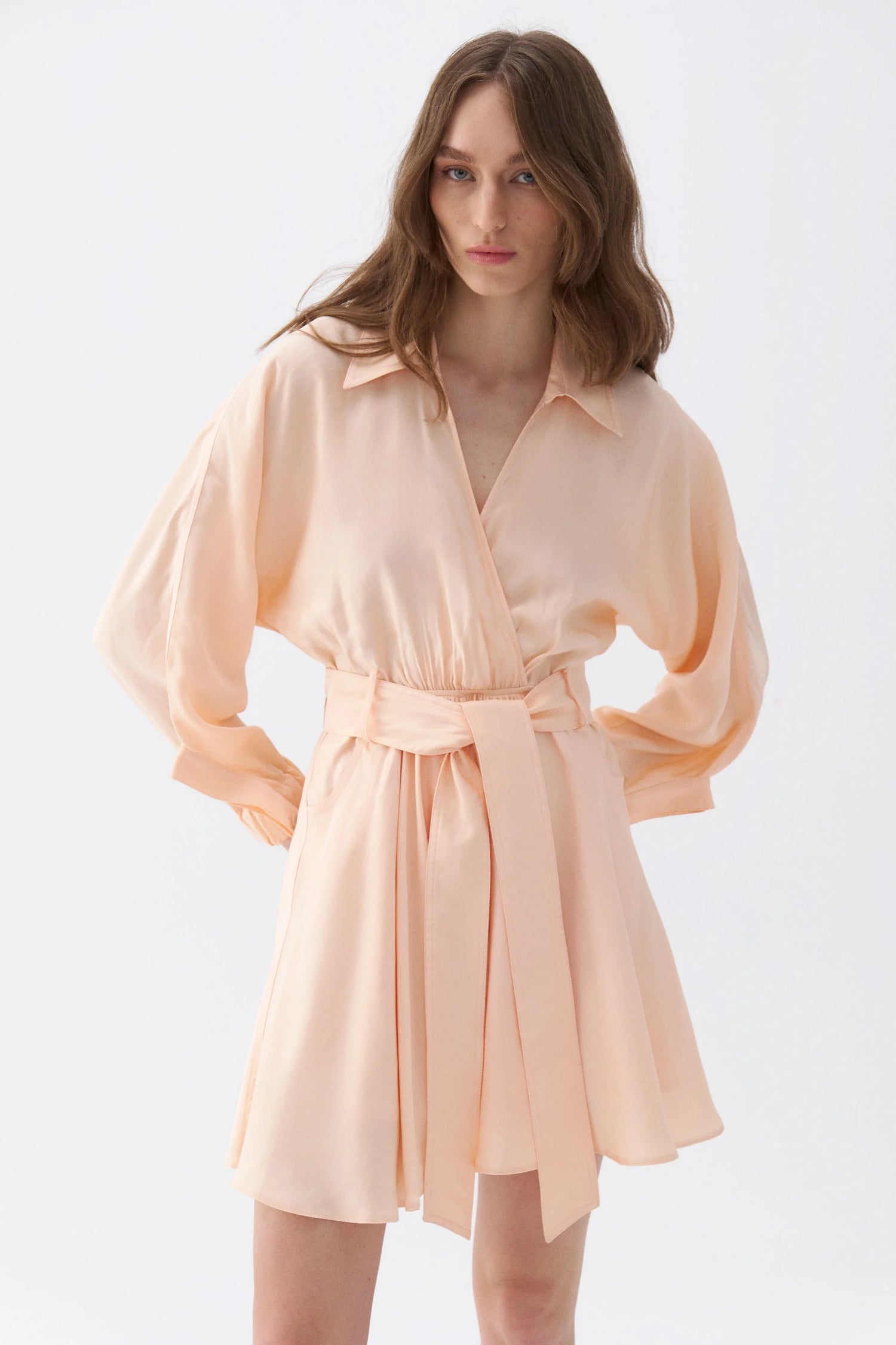 Belted Shirt Dress