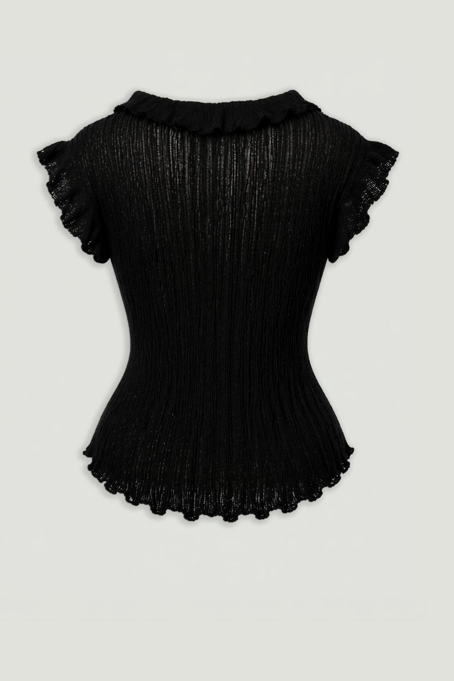 Ruffled V-Neck Sheer Blouse