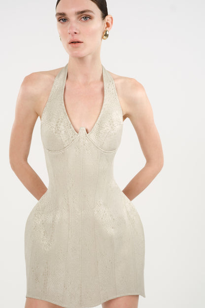 Snake-Print Boned Mini Corset Dress