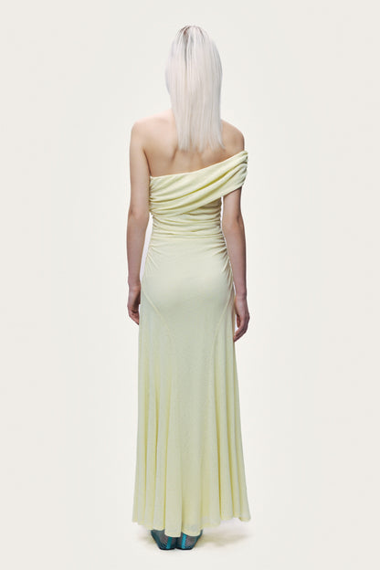 Sleeveless Maxi Dress