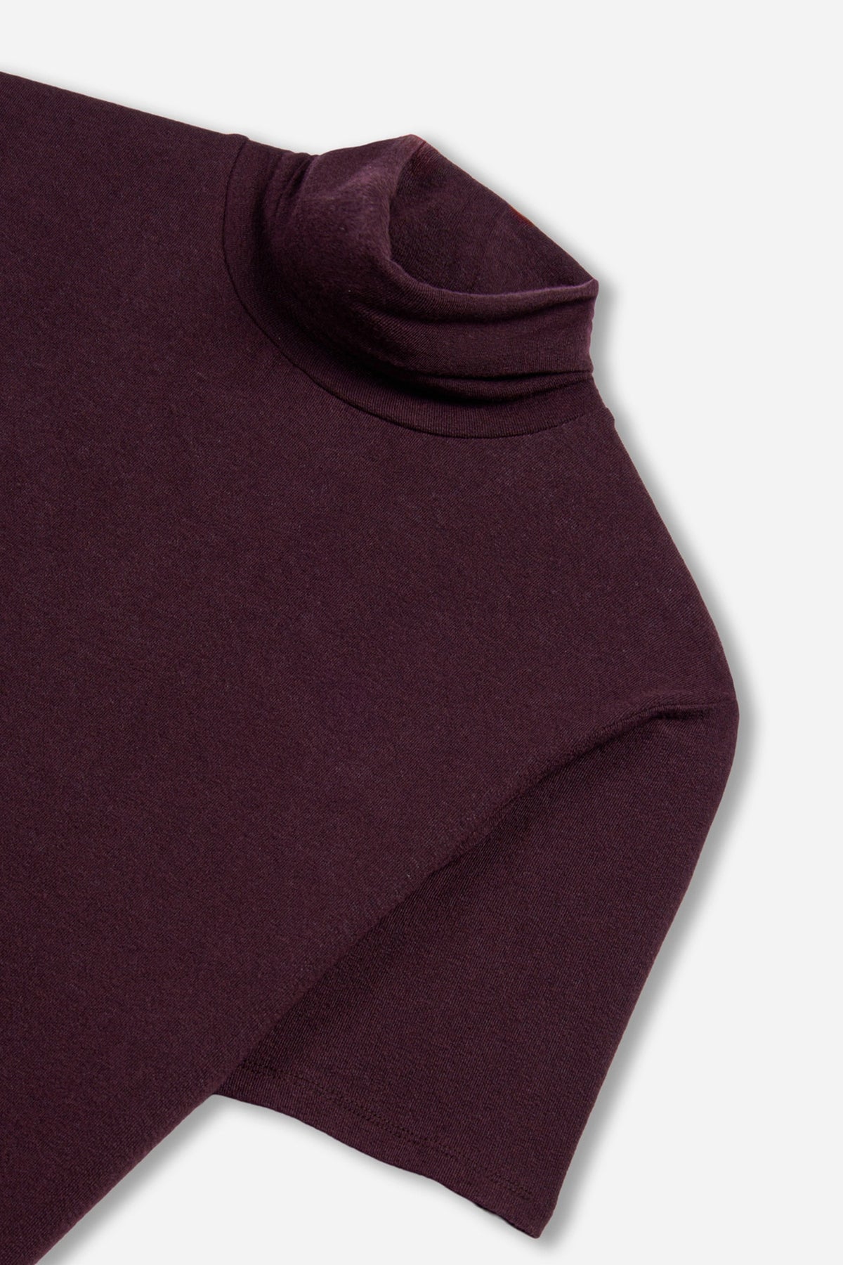 Short Sleeve Turtleneck Top