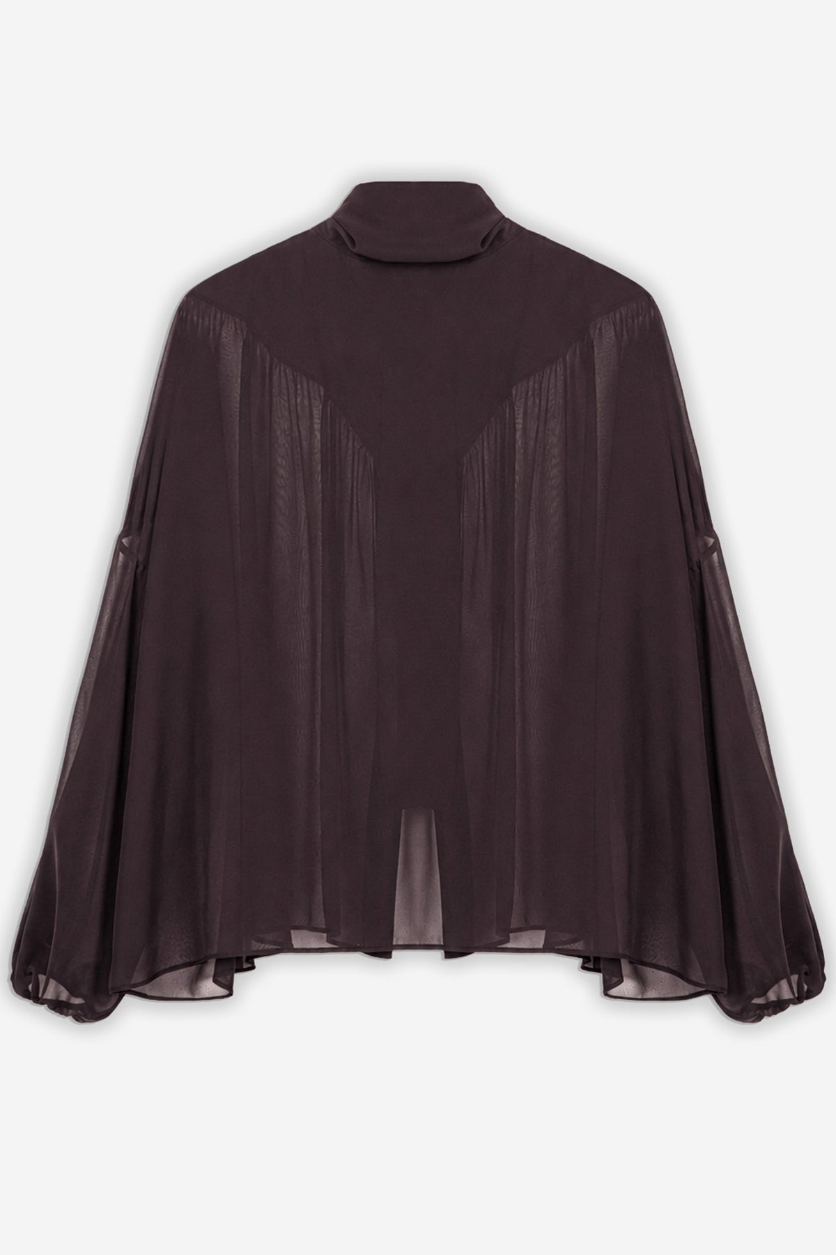 Gathered Sheer Blouse