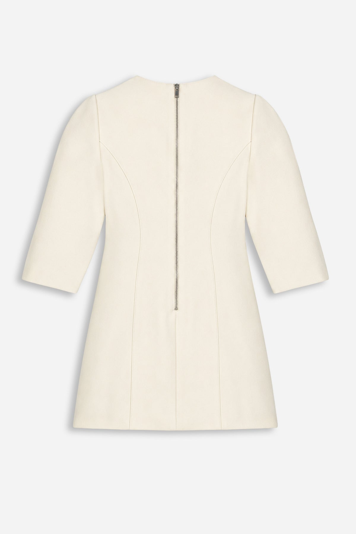 Balloon Sleeve Seam Detail Mini Dress