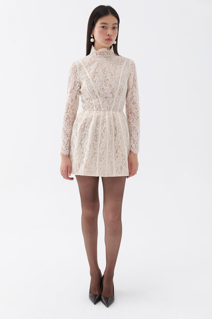 Lace Long Sleeve Minidress