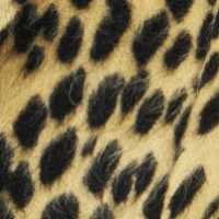 Leopard Print Jacket